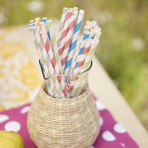 Striped Paper Straws straws Cooks' Nook