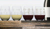 Winemaking Process Glasses - Set of 4 Cooks' Nook 